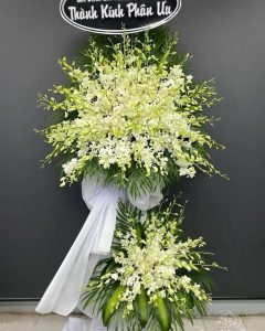 57e8847fe844bea95ed8f8b609a27906