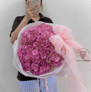 Tú Cầu Hồng nhập