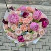 Hoa Mẫu đơn Mix