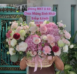 Giỏ tú cầu hồng