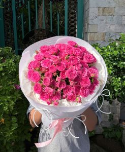 Sophia Nến trắng